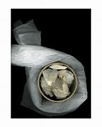 tissue of lies